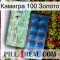 Камагра 100 Золото new02